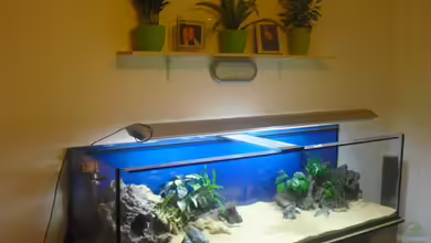 Hauptbecken von Erich Michalek