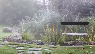 Herbst am Teich: Farbenpracht und Struktur