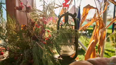 Herbst-Deko Trends 2025: Ideen für Garten und Teich