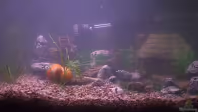 Hütte in der Ödniss von SteB-Studio