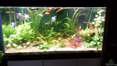 im Wohnzimmer von ak1982