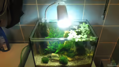 In the depth of silence von Joe Waters