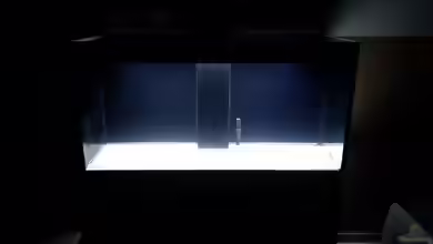 Incpiria  400 Diskus von Phillip92