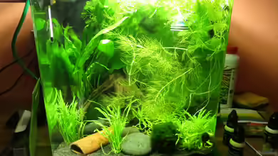 It's not the size that matters von Joe Waters