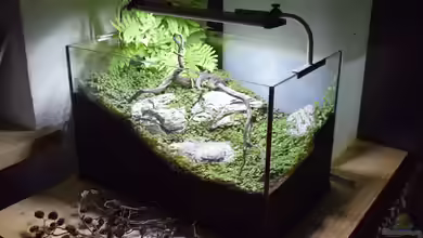 Just for fun (aufgelöst) von Junglist