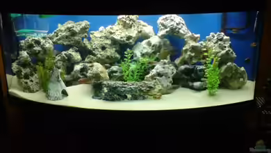 juwel 450 von indianer