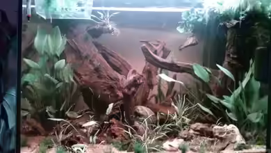 Juwel Lido 200 weiss Fx von FleXx0