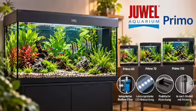Juwel Primo – Kompaktes Komplettaquarium für Einsteiger und erfahrene Aquarianer