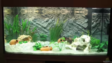 Juwel Rio 300 von weindl1987