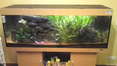 Juwel Rio 400 von Florian Förster