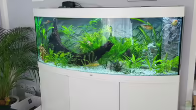 JUWEL Vision 450 Liter von Thorsten Schreiner