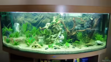 Juwel Vision 450 von EcoSyS