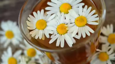 Kamille aus dem eigenen Garten gegen Magen-Darm-Beschwerden