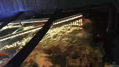 Kann ein Aquariumfilter zu stark oder zu schwach sein?