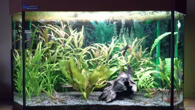 Kessel Buntes ^^ (nur noch Bsp.) von Stephan Groß