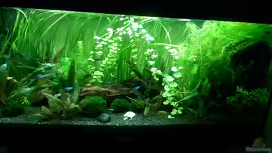 King Arthurs Kingdom von Mondüüü