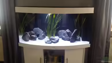 Kleine Malawi Welt von Marcus Meyer