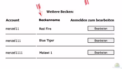 Kleiner Vorschlag an den Häuptling