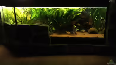 Kleines Stück Südamerika von Enzio