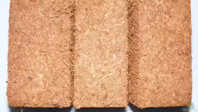 Kokosfaser im Terrarium - Eigenschaften, Anwendung und Vorteile im Detail