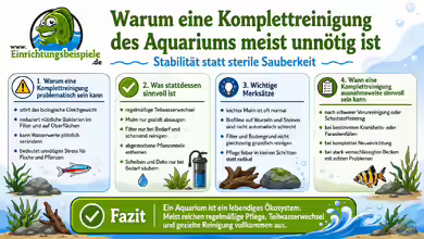 Komplettreinigung des Aquariums:  Meist unnötig und bitte nicht zu oft