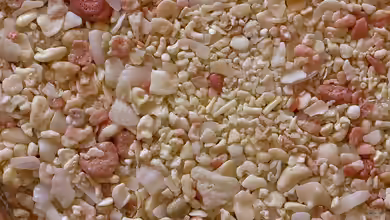 Korallensand im Meerwasseraquarium
