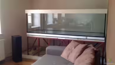 Kristins Fischglas von Erni77