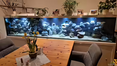 Küchenfische von Raid_0