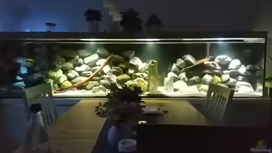 Küchenfische von Raid_0