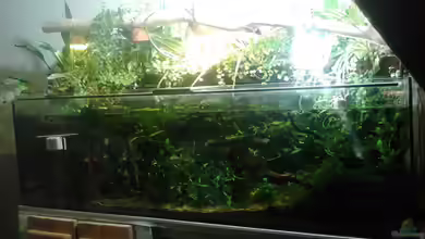 Kühlwasserbecken von Wasserstern ALK