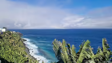 La Palma - Die kanarische Insel für Terrarianer