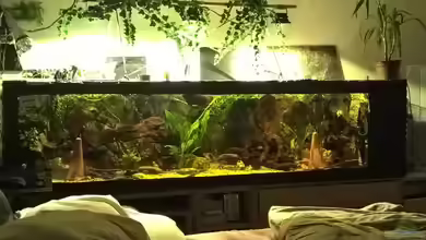 Lars 900l von Lars 300l 1.