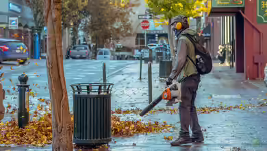 Leicht wie Luft, stark wie Sturm: Warum der Stihl BG 56 Gärten revolutioniert