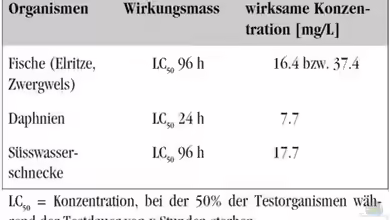 Leitungswasser / vergiftete Fische / FeO2 + Chlor