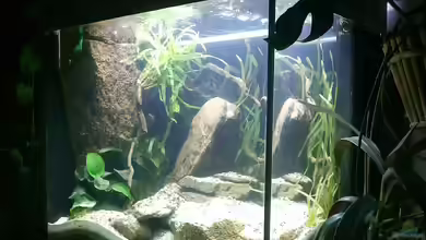 Lido 200 in seiner Selbstfindungsphase von JoeHoe