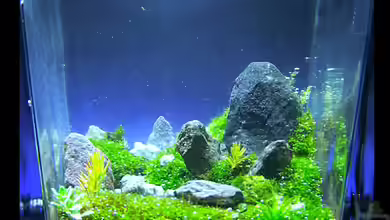 Little Big Stones von Fredo Fuss