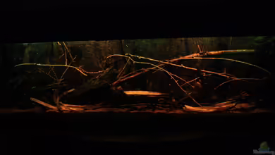 Little Rio Negro von Bämbel