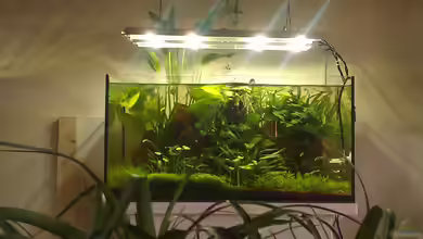 livingrOOmüBerganGstAnK von El Hein