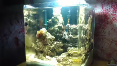 madapusa nano meer von madapusa