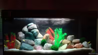 Malawi 200 Liter von Holger Busse