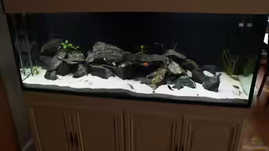 Malawi 576l von Timo Ewert