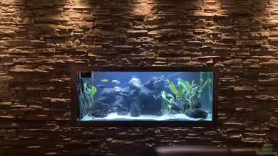 Malawi-Durchsichtbecken von Alex 75