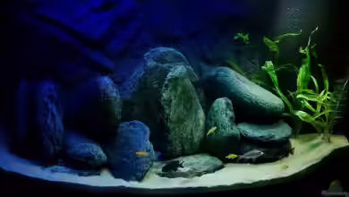 Malawi "Jugendzimmer" von René_Bln