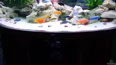 Malawi Juwel von Mark M