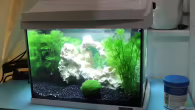 Malawi klein Paradies von noah99