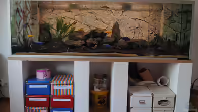 Malawi Spielwiese von rOCkStaR