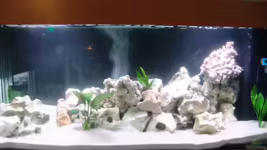 Malawi von Fabian Lehmann