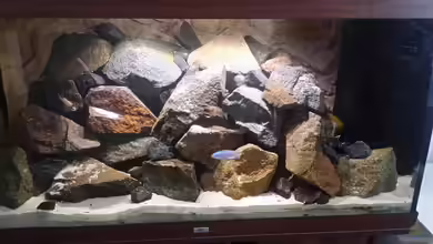 Malawitraum von Christian Büttcher