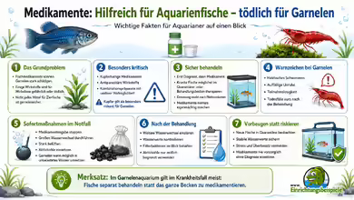 Medikamente: Hilfreich für Aquarienfische - tödlich für Garnelen