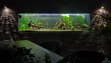 Mein 1050er von Stefan Heins